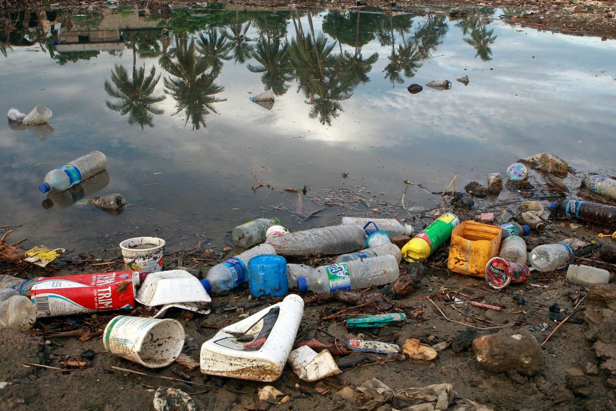 Am Ufer eines Gewässers, in dem sich Palmen spiegeln, liegt jede Menge Plastikmüll.