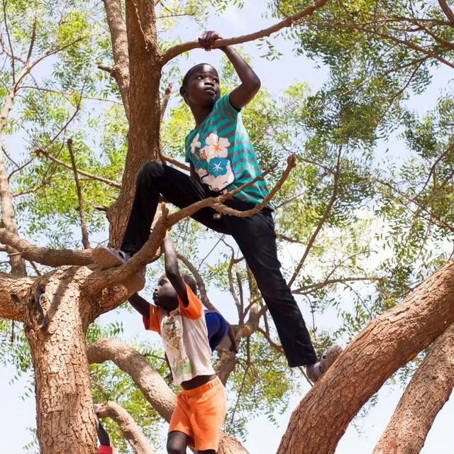 Kinder spielen auf einem Baum.