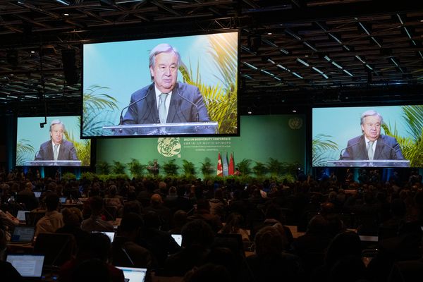 Blick in einen Sitzungssaal mit mehreren Bildschirmen, die UN-Generalsekretär Antonio Guterres zeigen.