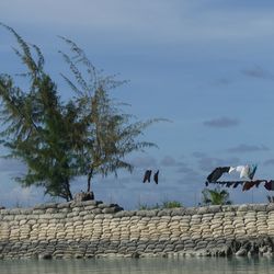 Auch die Inselrepublik Kiribati ist vom An­stieg des Meeresspiegel betroffen. Der Bau von Mauern soll dagegen schützen.