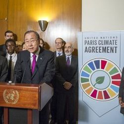 © UN Photo/Rick Bajornas