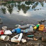 Am Ufer eines Gewässers, in dem sich Palmen spiegeln, liegt jede Menge Plastikmüll.