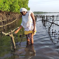 Die Fischerin Mariama Diamé Im knietifen Wasser steht eine Frau mit weißem Schleier und schaut sich Muscheln an, die an einem Holzgestell knapp über der Wasseroberfläche hängen.