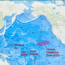Eine Karte zeigt die Lage der Clarion Clipperton Zone im Nordpazifischen Ozean zwischen Japan und Mexiko.